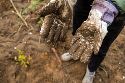 tree-planting-carousel-image