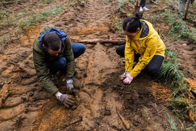 tree-planting-carousel-image